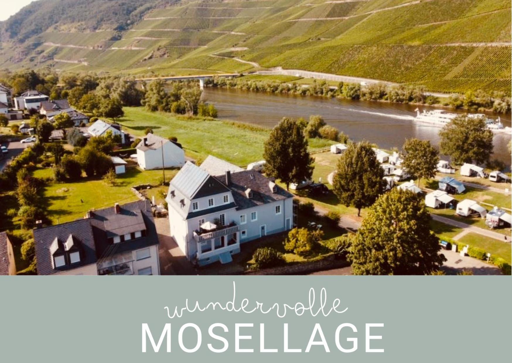 Gut Foersterlay - Exklusive Boutique Apartments Im Historischen Winzerhaus Direkt An Der Mosel Lösnich Buitenkant foto